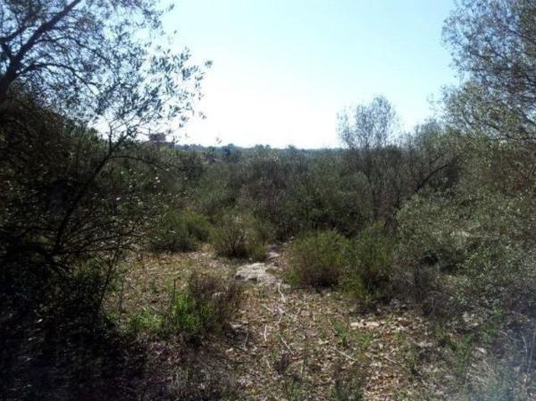 Terreno en Calle Son Gual- e, 10, Son Gual, Palma de Mallorca photo 1