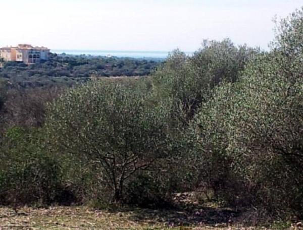 Terreno en Calle Son Gual- e, 10, Son Gual, Palma de Mallorca thumbnail 1