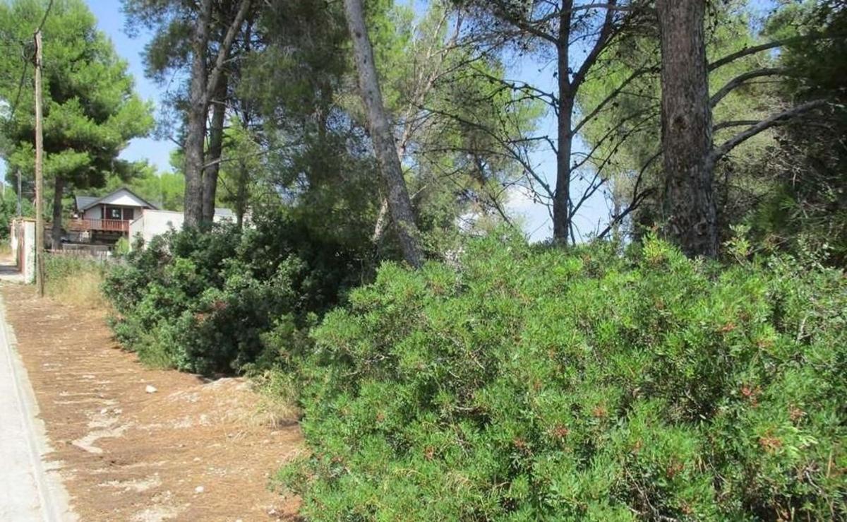 Terreno en venta en Canyelles, Barcelona photo 1