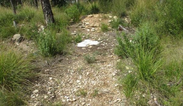 Terreno en Calle del Pi, 8, Les Colines-Cal Surià, Olivella photo 1