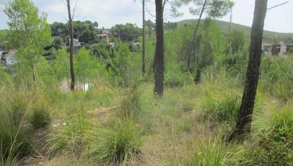 Terreno en Calle del Pi, 8, Les Colines-Cal Surià, Olivella thumbnail 1