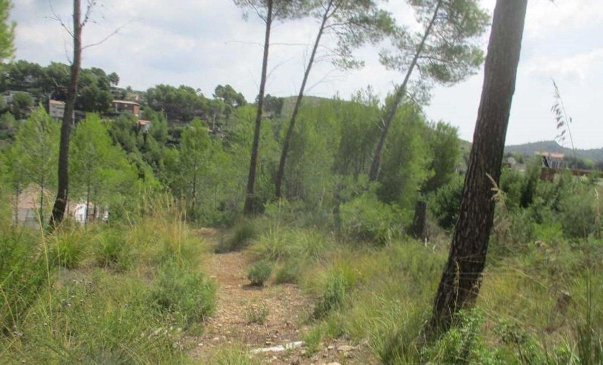 Terreno en venta en Olivella, Barcelona photo 3