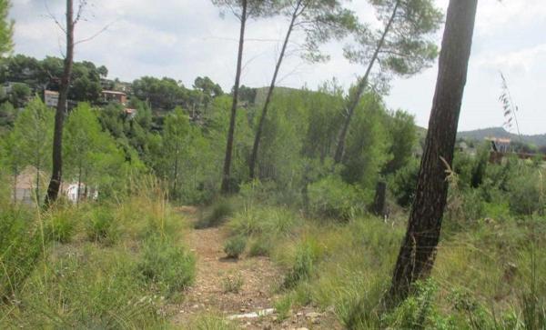 Terreno en Calle del Pi, 8, Les Colines-Cal Surià, Olivella thumbnail 2