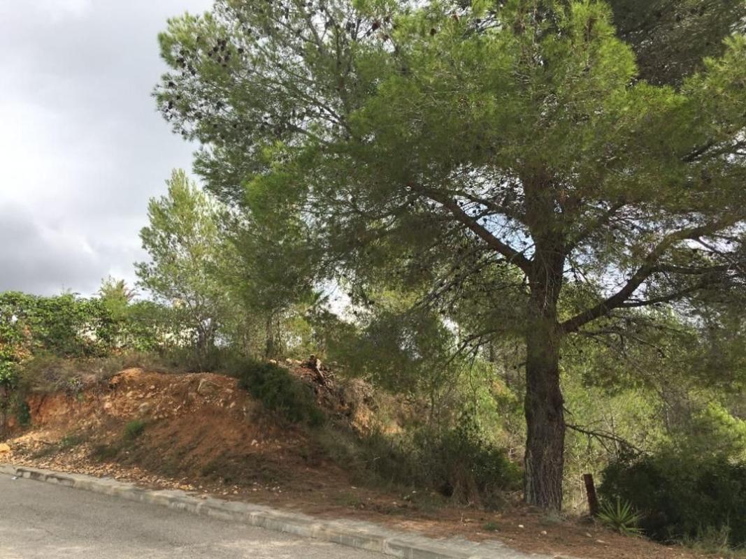 Terreno en venta en Olivella, Barcelona photo 4