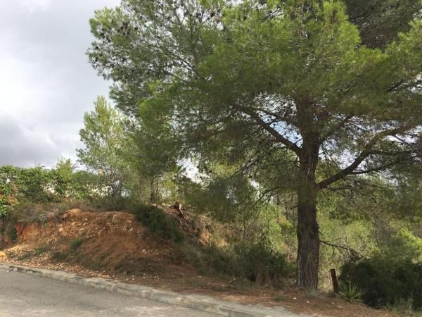 Terreno en Calle del Pi, 8, Les Colines-Cal Surià, Olivella photo 4