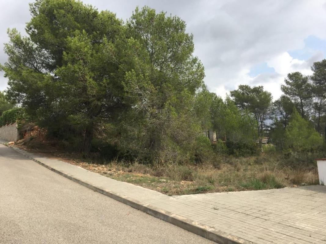Terreno en venta en Olivella, Barcelona photo 5