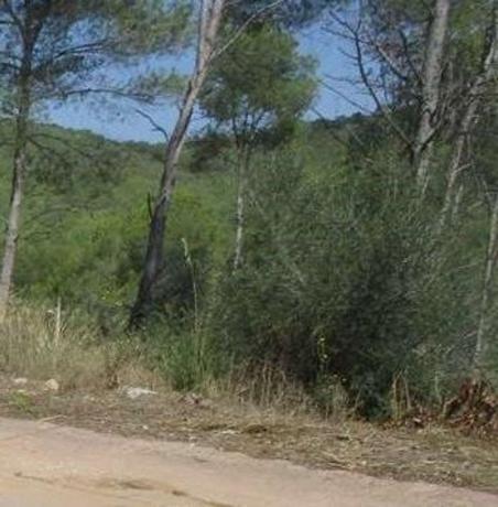 Terreno en Calle del Senglar, 7, Mas Mestre, Olivella thumbnail 1