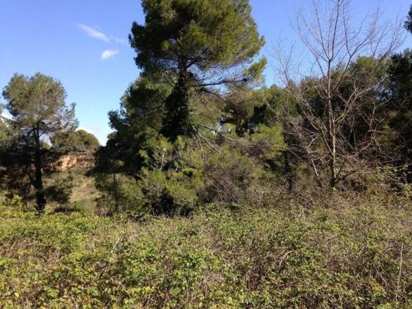 Terreno en Calle Cirerer, 30, Piera photo 1