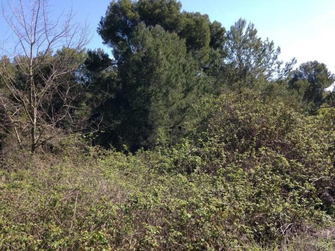 Terreno en venta en Piera, Barcelona photo 5