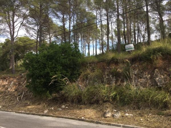 Terreno en Calle Principal, 27, Canyelles photo 1