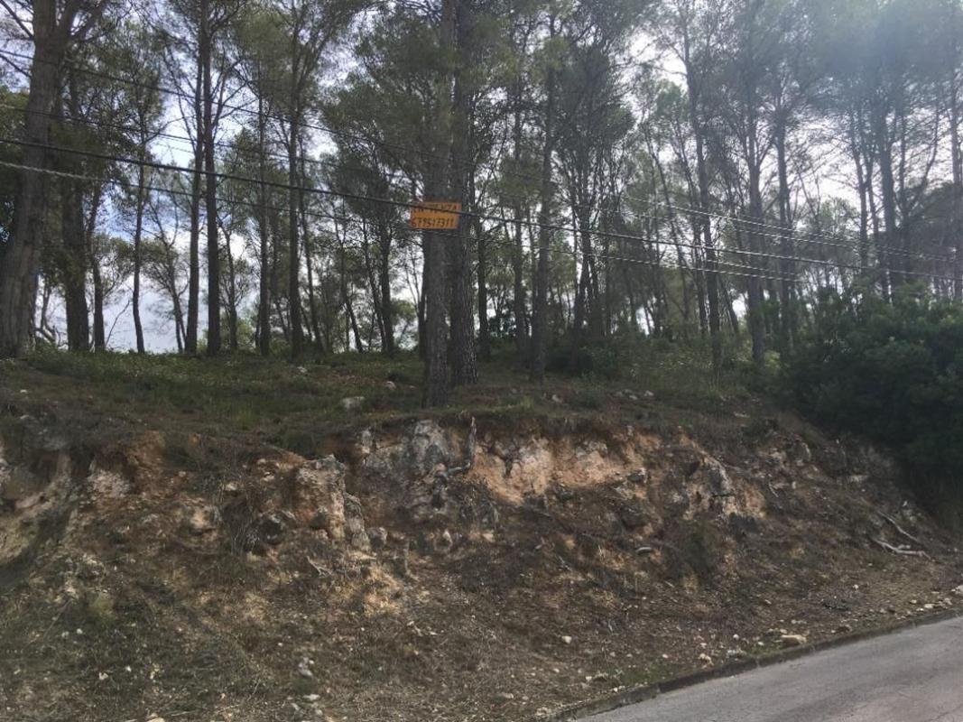 Terreno en venta en Canyelles, Barcelona photo 2