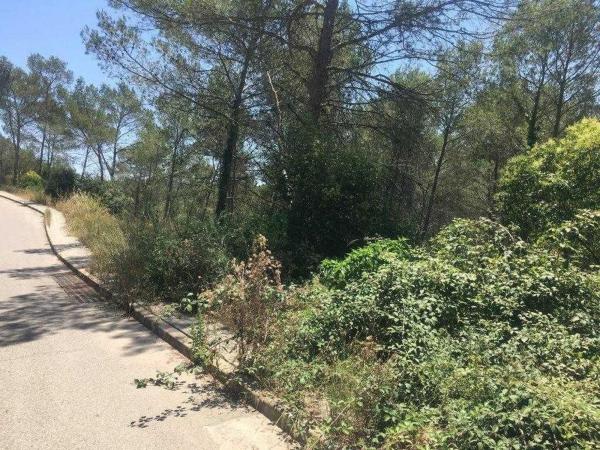 Terreno en Calle de L'arc de Sant Marti, 3, Les Colines-Cal Surià, Olivella thumbnail 1