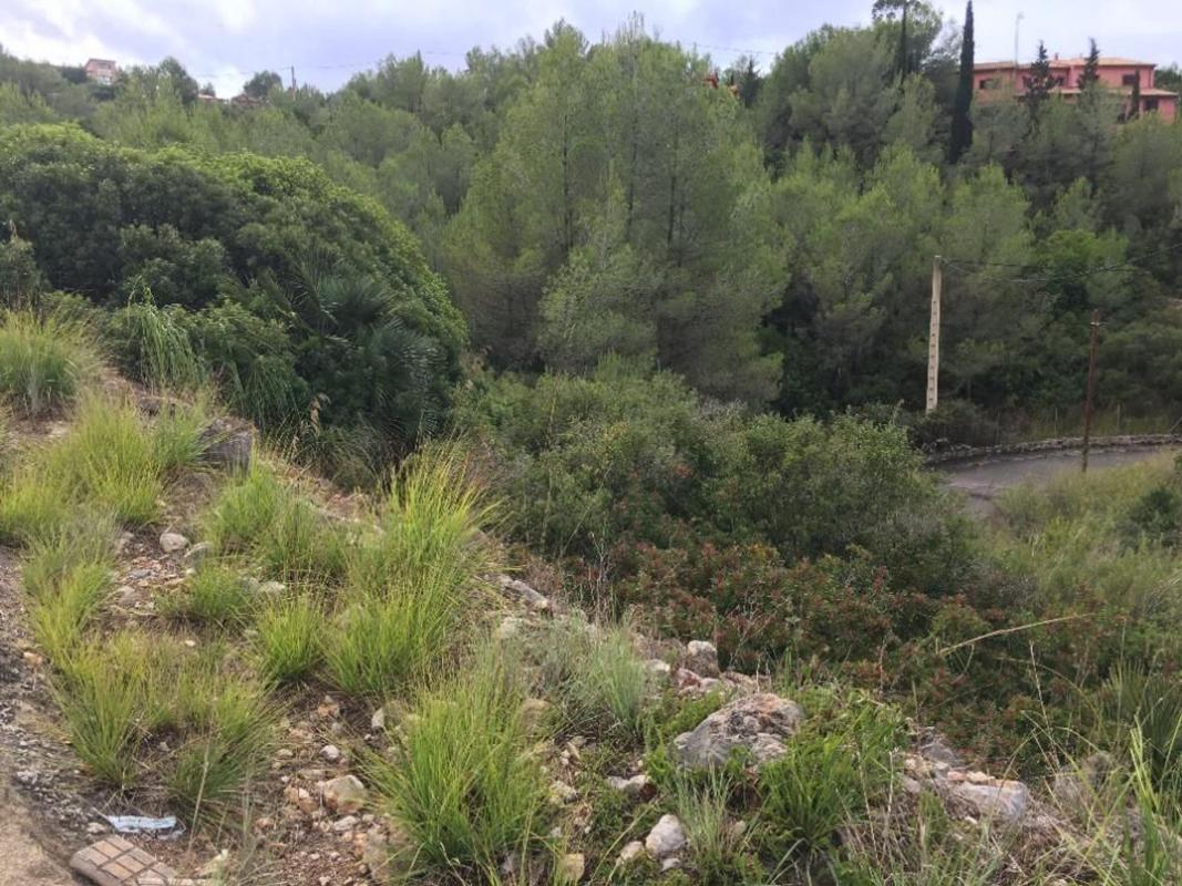 Terreno en venta en Olivella, Barcelona photo 3