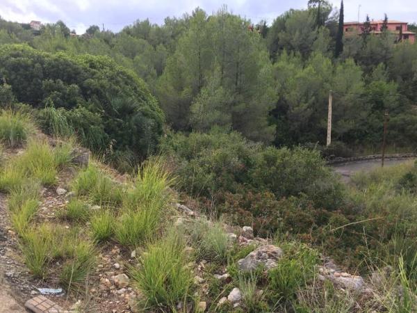 Terreno en Calle del Mestral, 5, Olivella, Olivella thumbnail 2