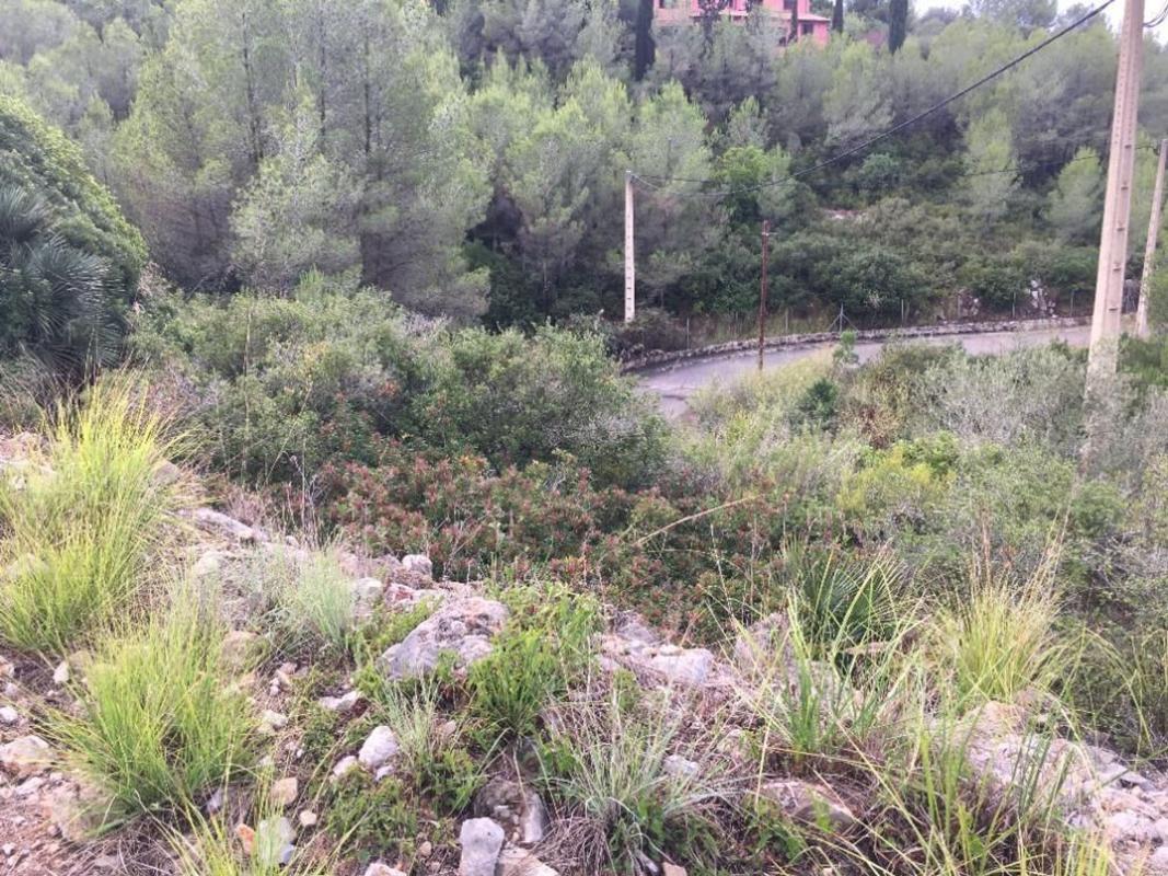 Terreno en venta en Olivella, Barcelona photo 4