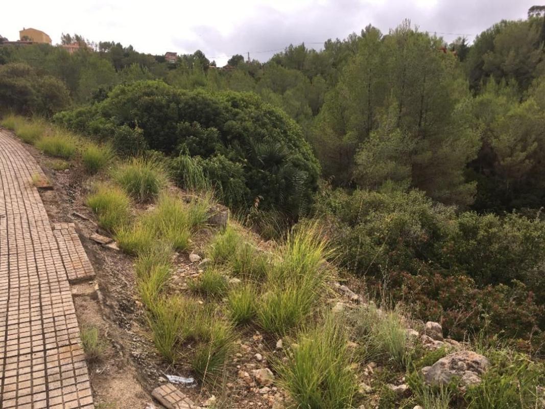 Terreno en venta en Olivella, Barcelona photo 5