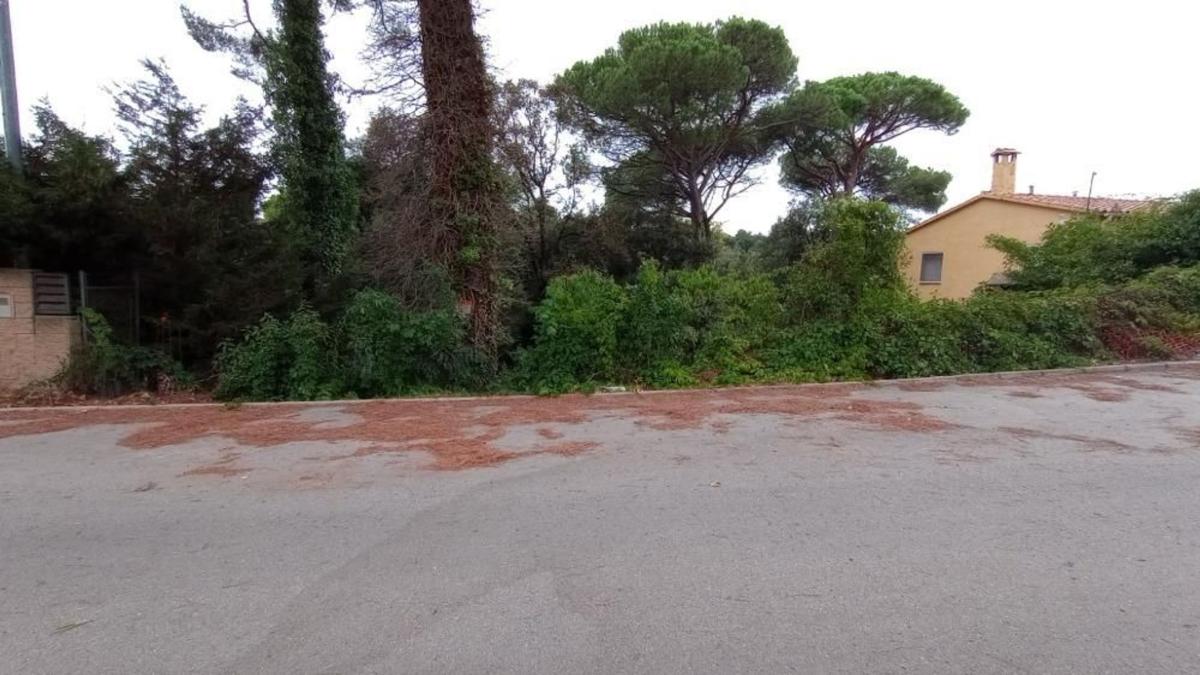 Land for sale in Dosrius, Barcelona photo 3