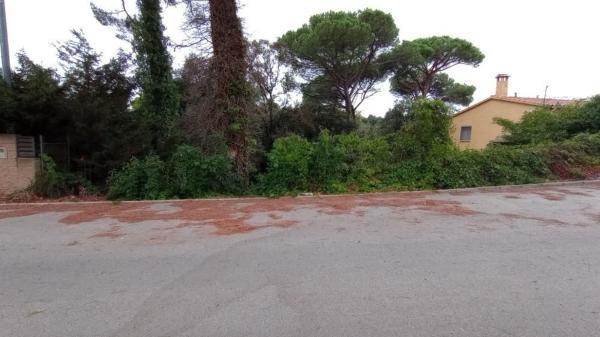 Terreno en Calle Llinars, 57, Dosrius thumbnail 2