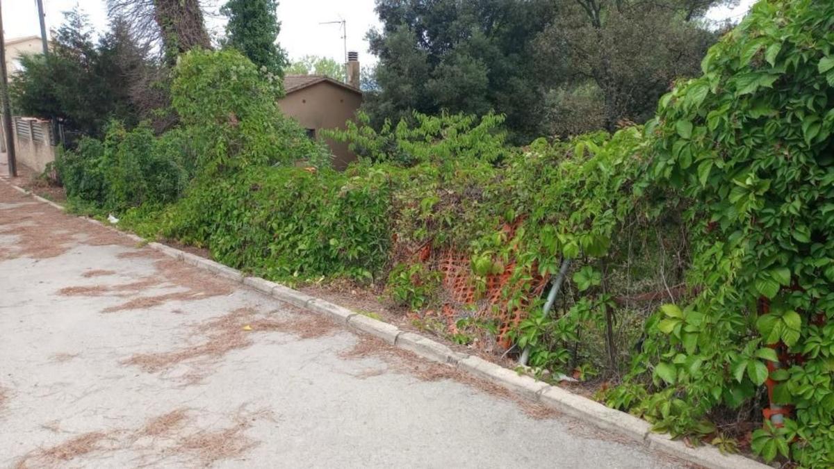 Land for sale in Dosrius, Barcelona photo 4