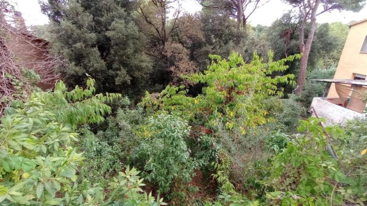 Land for sale in Dosrius, Barcelona photo 5