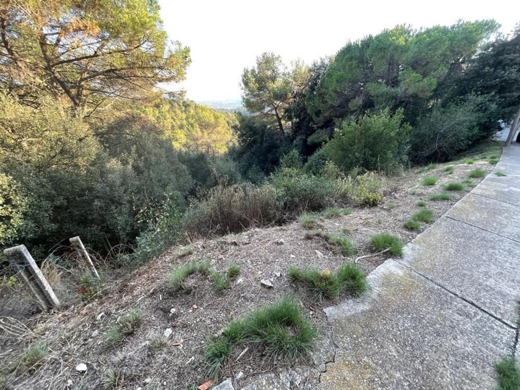 Terreno en venta en L'Ametlla del Vallès, Barcelona photo 5