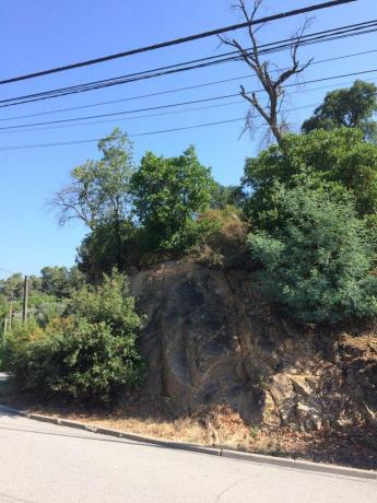 Terreno en Calle Llenega Blanca, 900, Vallgorguina thumbnail 1
