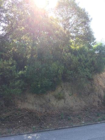 Terreno en Calle Llenega Blanca, 900, Vallgorguina photo 4