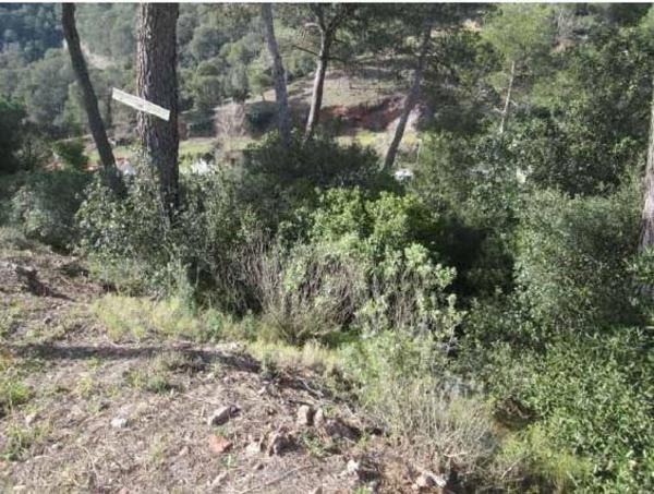Terreno en Calle Sta Ines, 22, Sant Llorenç Savall photo 1