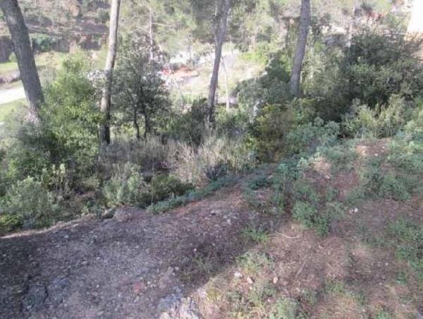 Terreno en Calle Sta Ines, 22, Sant Llorenç Savall photo 2
