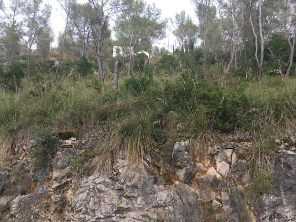 Terreno en Calle dels Pirineus, 64, Mas Mestre, Olivella photo 1