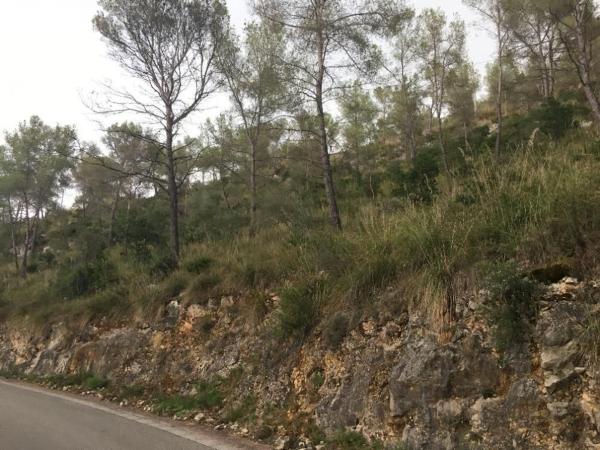 Terreno en Calle dels Pirineus, 64, Mas Mestre, Olivella thumbnail 2