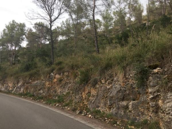 Terreno en Calle dels Pirineus, 64, Mas Mestre, Olivella photo 4