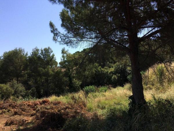 Terreno en Via Augusta, 104, Montornès del Vallès photo 4