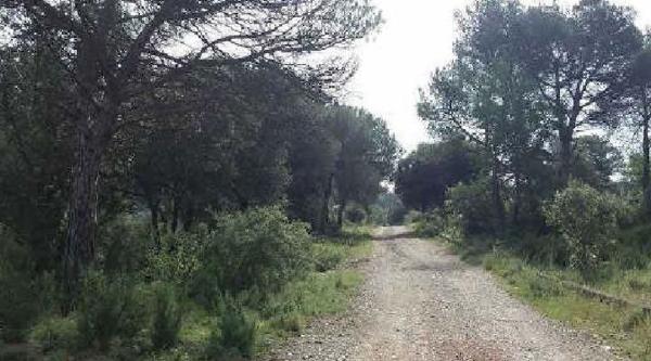 Terreno en Calle de les Alzines, 44, Aiguafreda photo 2