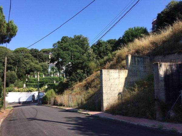 Terreno en Calle Montserrat, 13, Dosrius photo 3