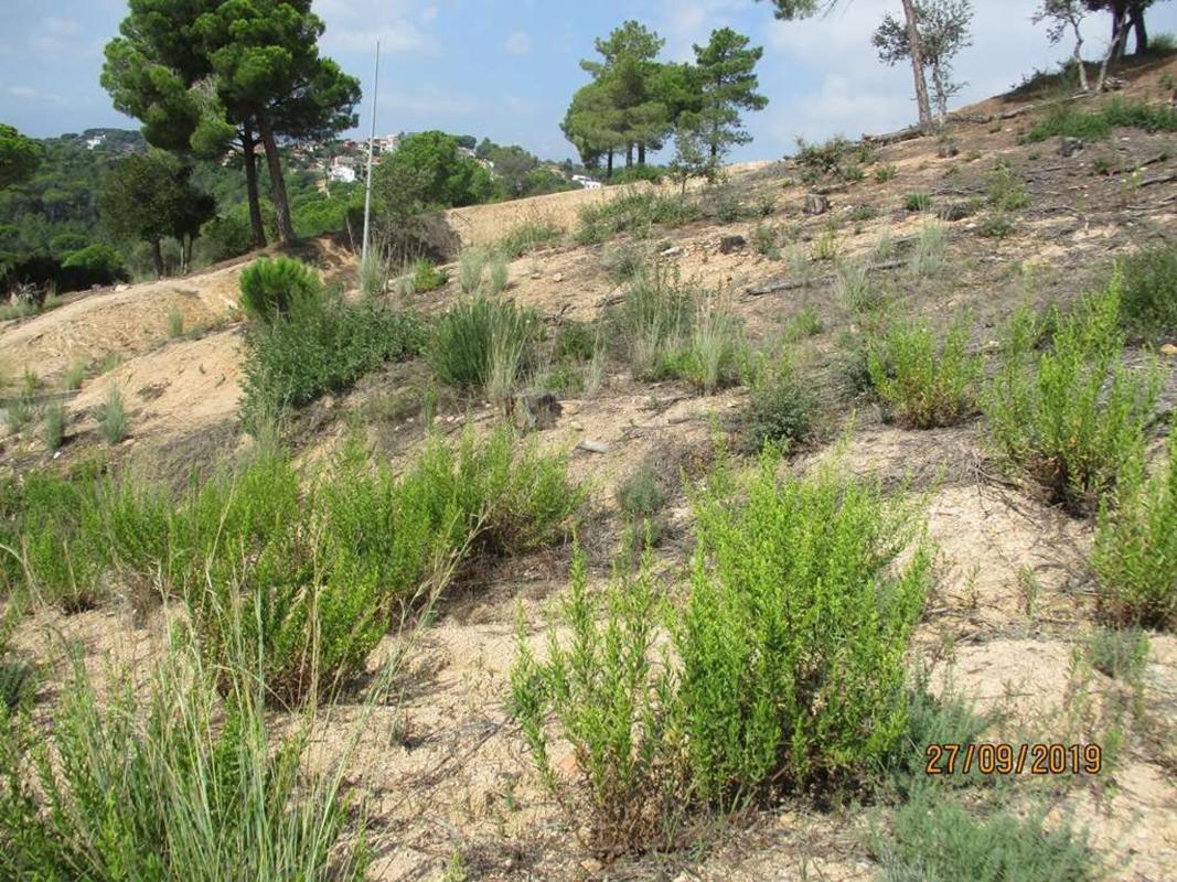 Terreno en venta en Tordera, Barcelona photo 4
