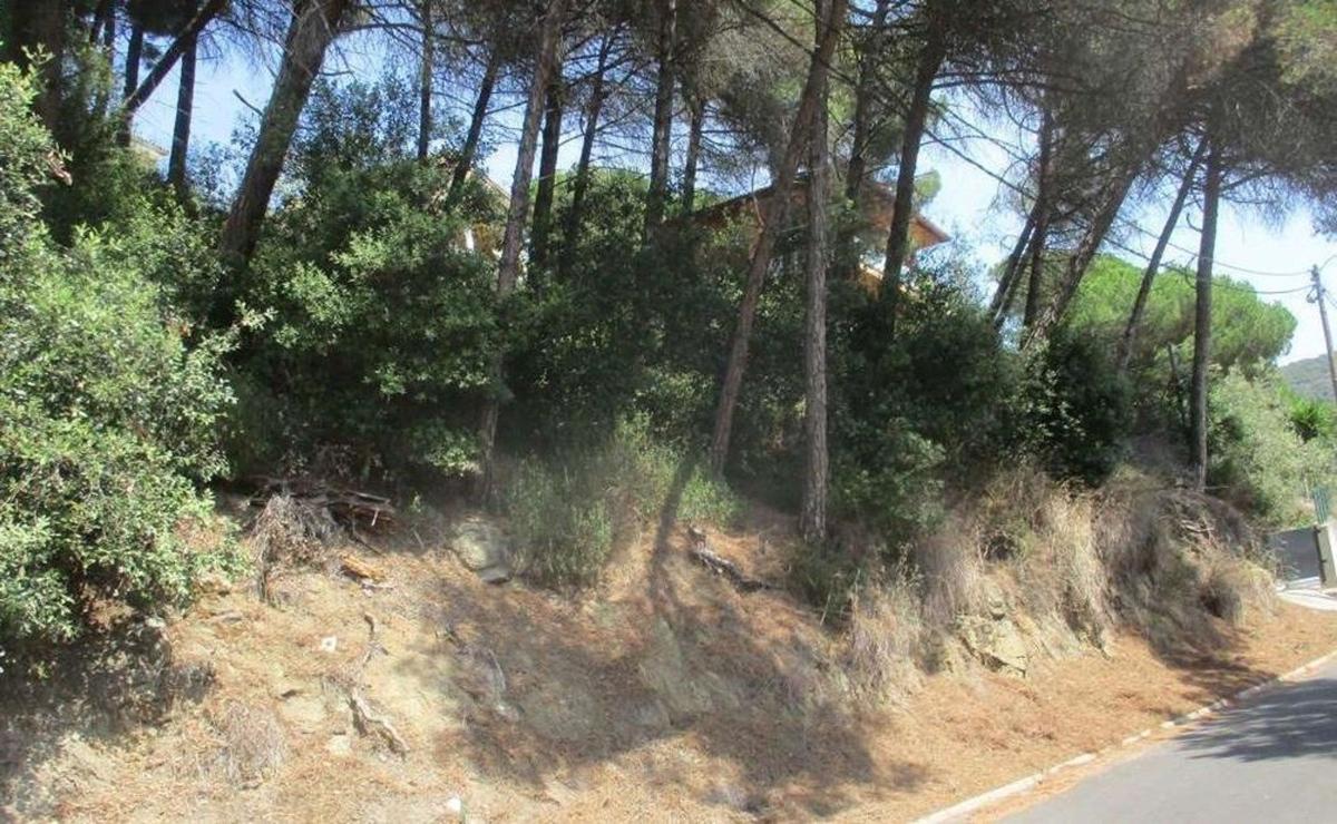 Terreno en venta en Dosrius, Barcelona photo 1