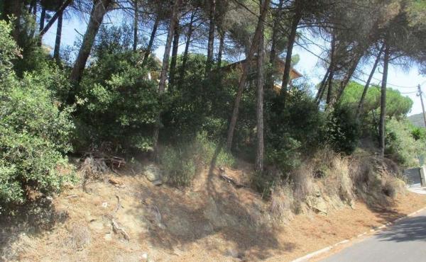 Terreno en Calle Tibidabo, 4, Dosrius photo 1