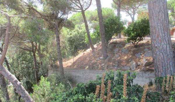 Terreno en Calle Tibidabo, 4, Dosrius photo 4