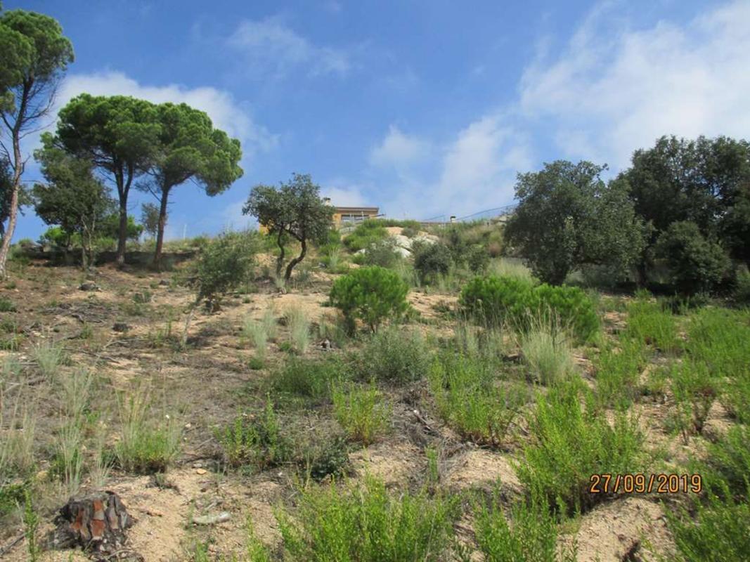 Terreno en venta en Tordera, Barcelona photo 3