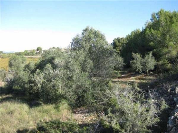 Terreno en Avenida Clariana, 10, Castellet i la Gornal photo 3