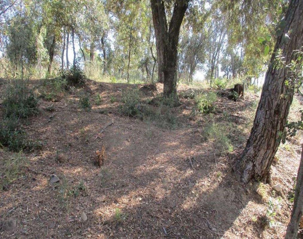Terreno en venta en Caldes de Montbui, Barcelona photo 3