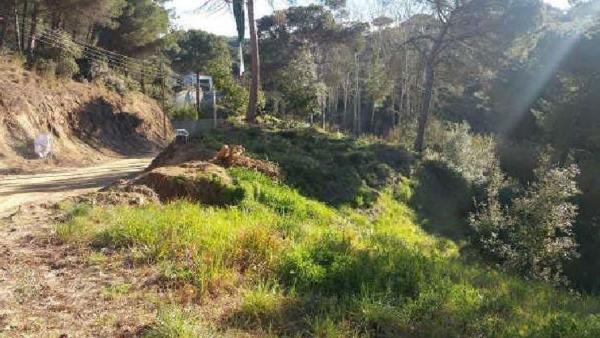 Terreno en Calle Arenys, 78, Dosrius photo 2
