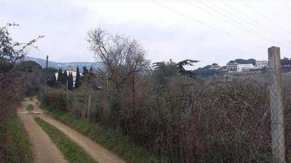 Terreno en Calle de Valldebanador s/n, Calella photo 1