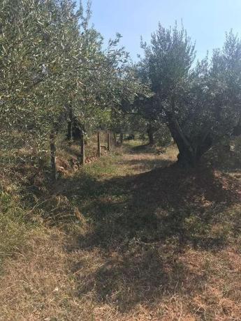Terreno en Calle S.U.B-8, 90, Can Violi - Can Poi de Bosc, La Garriga photo 4