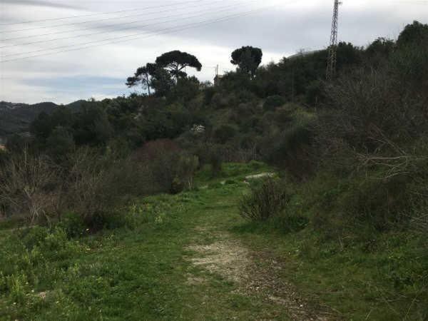 Terreno en Lloc Limit Sol, Terra Nostra - Font Pudenta, Montcada i Reixac photo 4