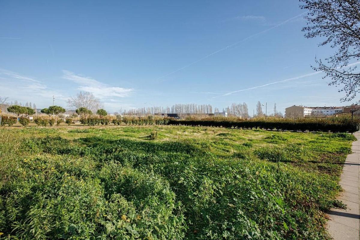 Land for sale in Tordera, Barcelona photo 2