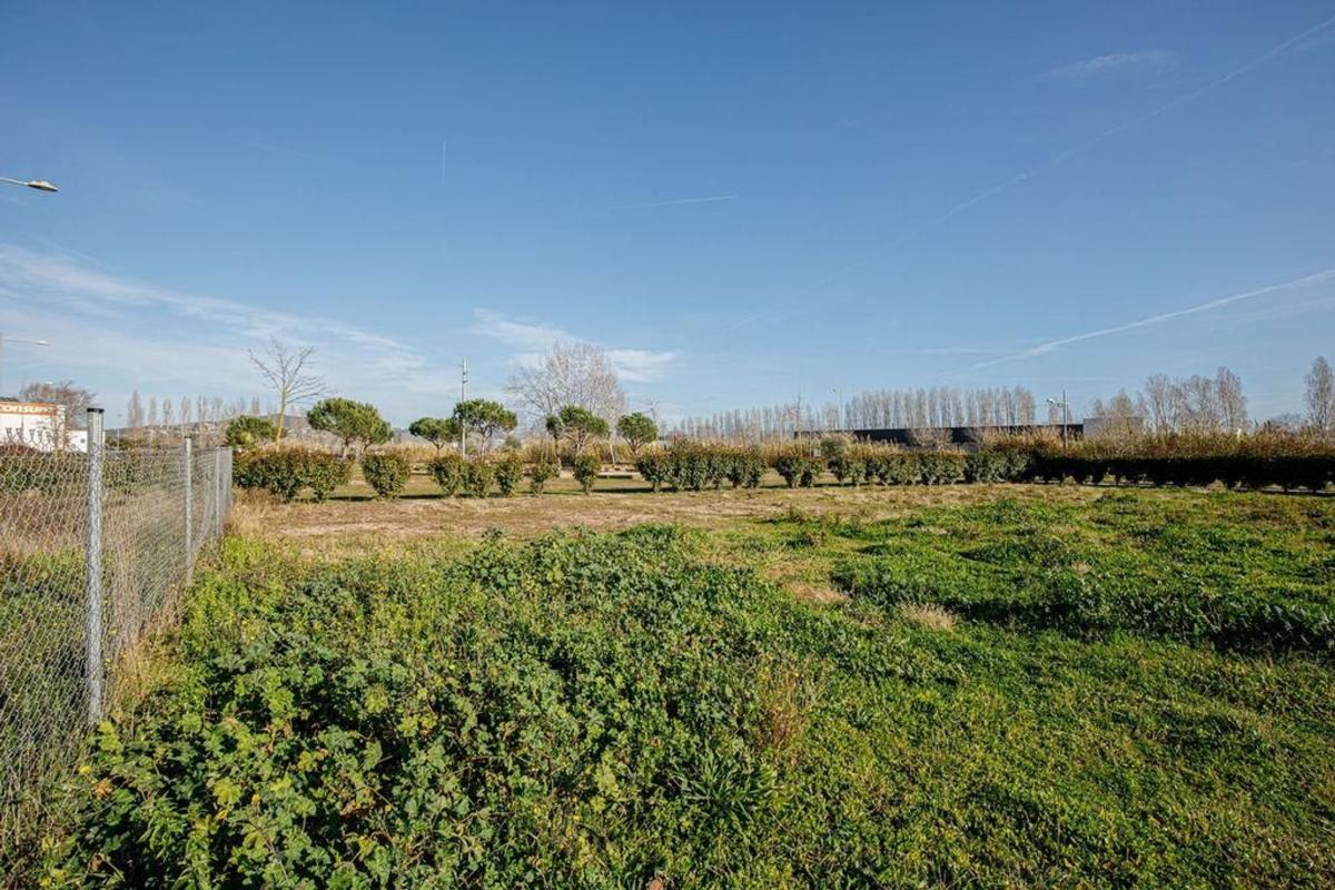 Land for sale in Tordera, Barcelona photo 4