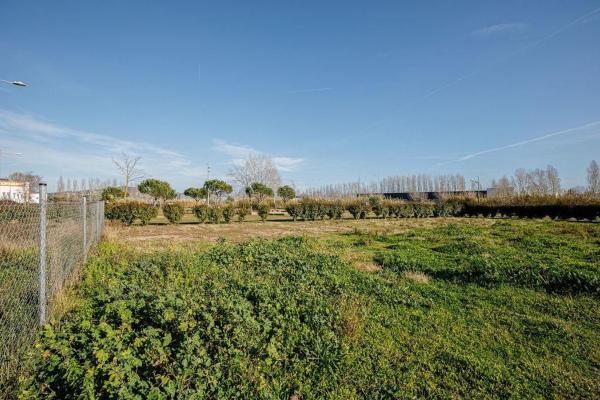 Terreno en Calle Passatge del Pla de Vall s/n, Tordera, Tordera photo 4