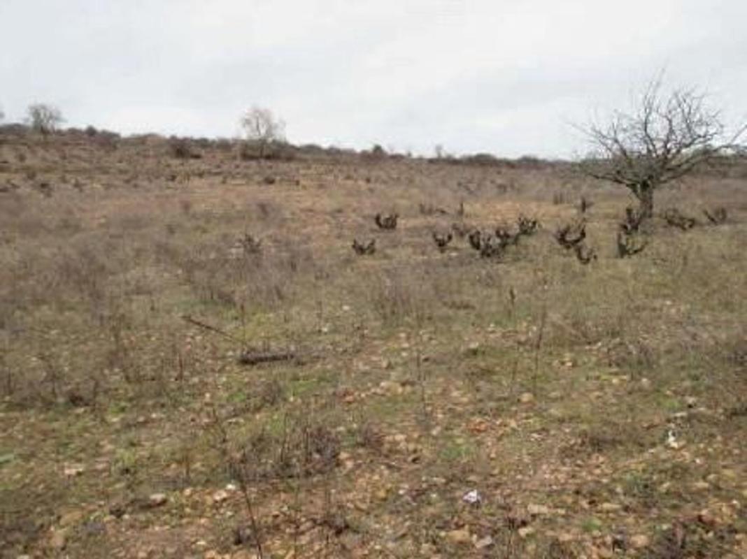 Участок земли на продажу в Коваррубиас, Бургос photo 4